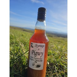 Syrop z Pigwy 500ml